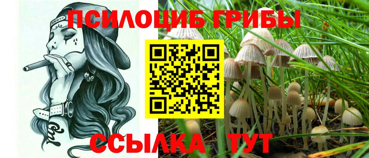 Галлюциногенные грибы прущие грибы  Псилоцибиновые грибы Psilocybine cubensis  Вход с VPN  Сочи 
