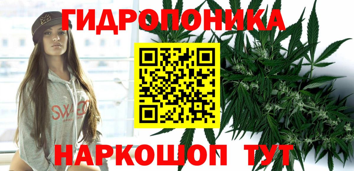 Конопля OG Kush Сочи